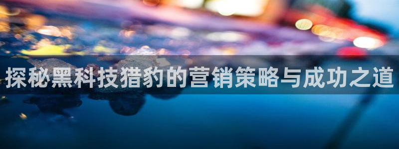 金年会是什么平台