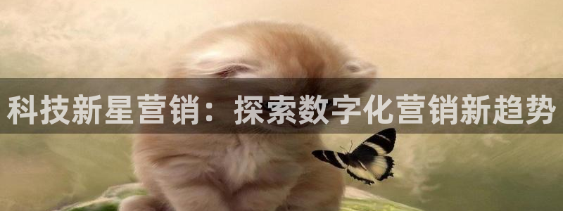 金年会官方下载app