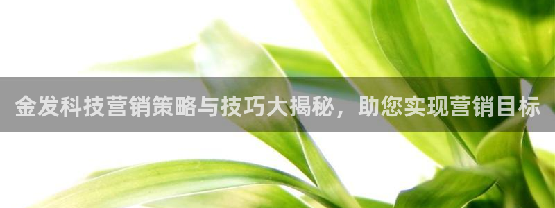 金年会电子游戏怎么玩