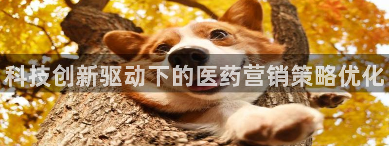 金年会mg官方在线电子游戏