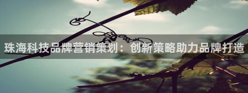 金年会体育app最新下载
