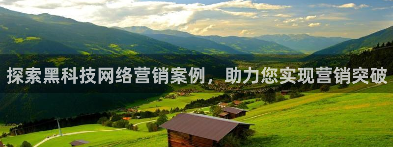 金年会网站怎么样