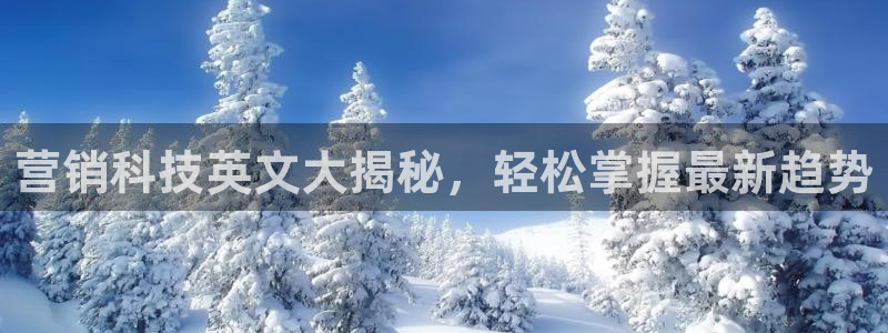 金年会官方娱乐app下载安卓