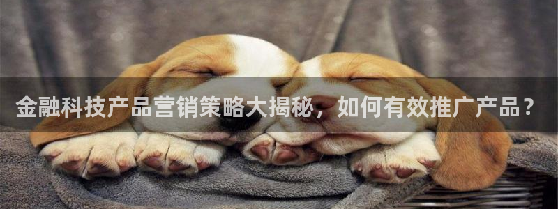 金年会体育入口