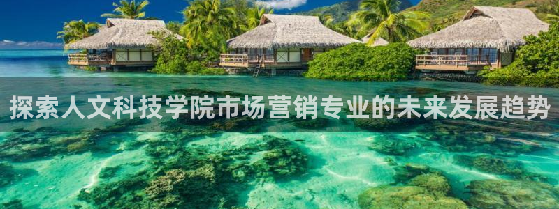 金年会体育app下载官网安卓