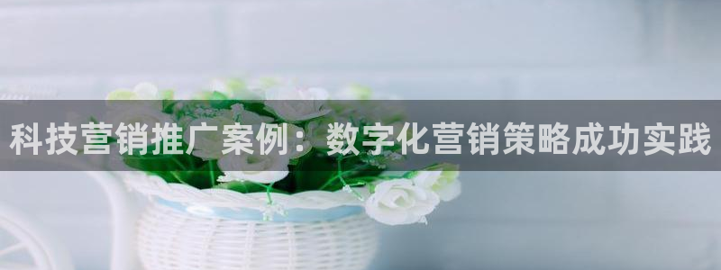 金年会在线入口2023