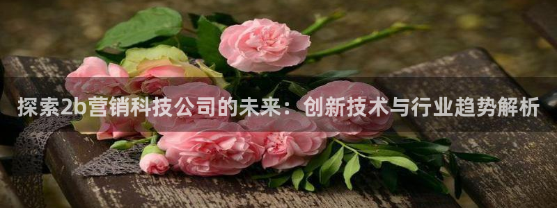 金年会体育APP官方网站