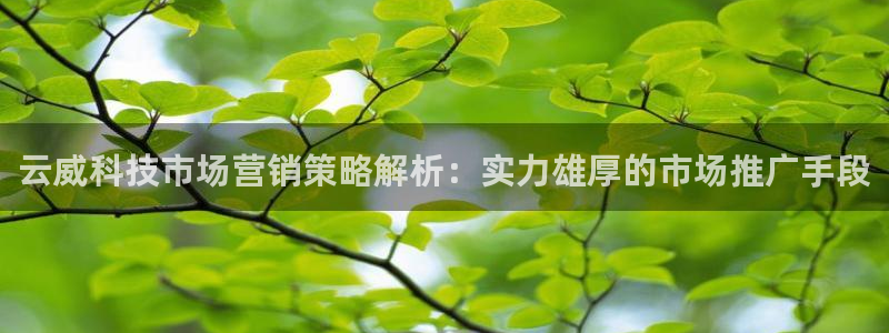 金年会下载安卓