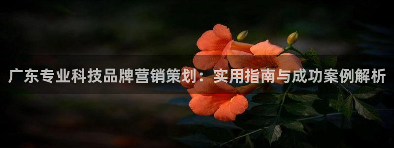 金年会体育网app下载
