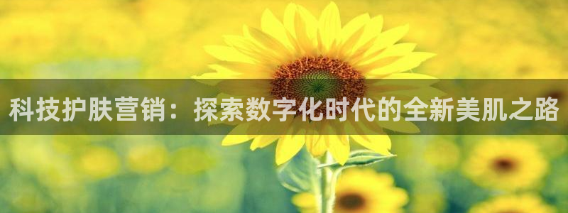 金年会体育app平台怎么样
