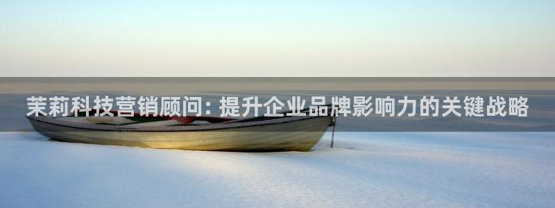 金年会电子