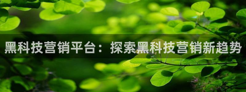 金年会手机版·(中国)官方网站-app下载