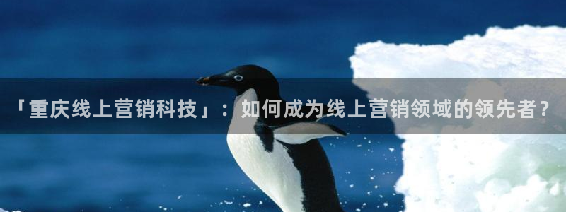 金年会体育登入入口