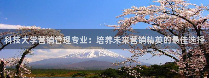 金年会体育平台官网下载app