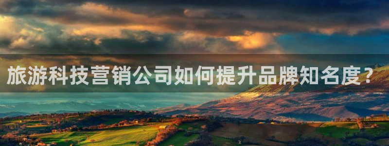 金年会平台官网