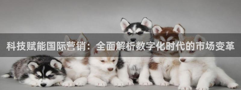 金年会体育黑吗