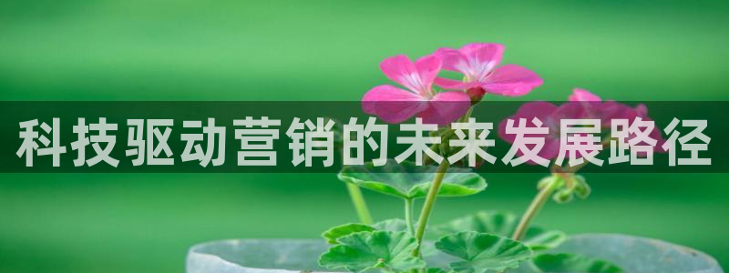 金年会官方网址