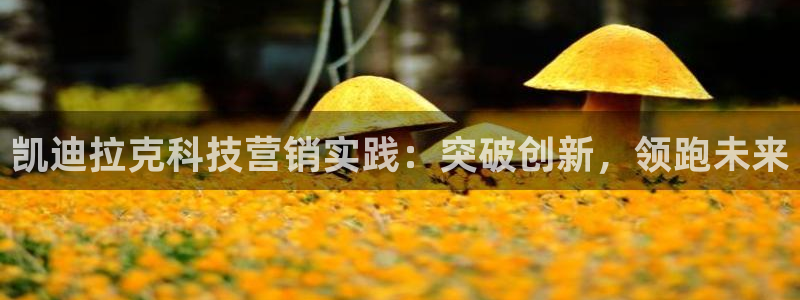 金年会入口