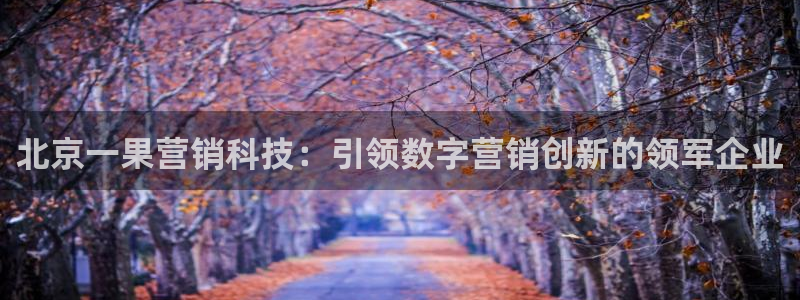 金年会网址