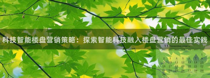 金年会体育登陆