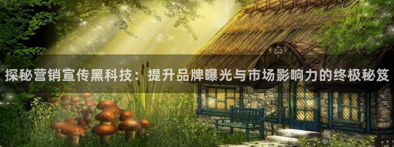金年会网站拒绝出款怎么解决?