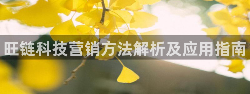金年会体育平台连接下载