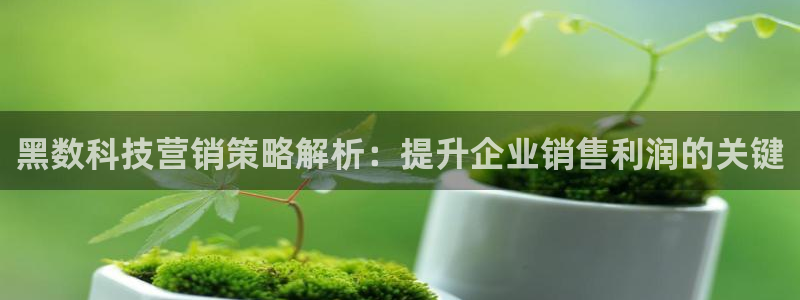 金年会网站