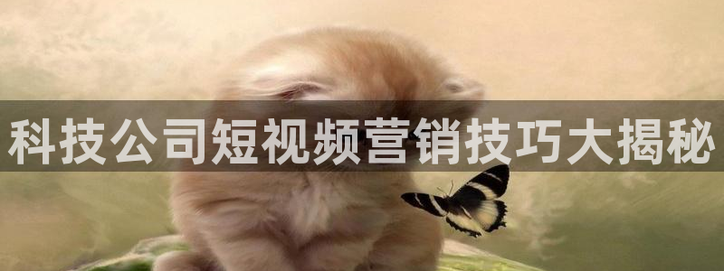 金年会官方网站入口网址