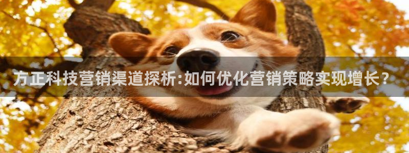 金年会下载链接