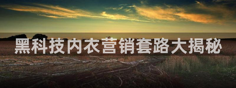 金年会官方app下载安装