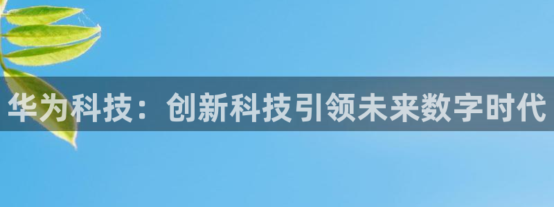 金年会体育手机app下载官网最新版