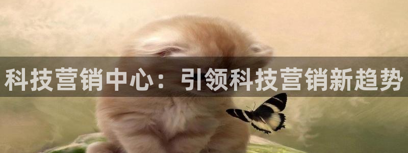 金年会金字招牌