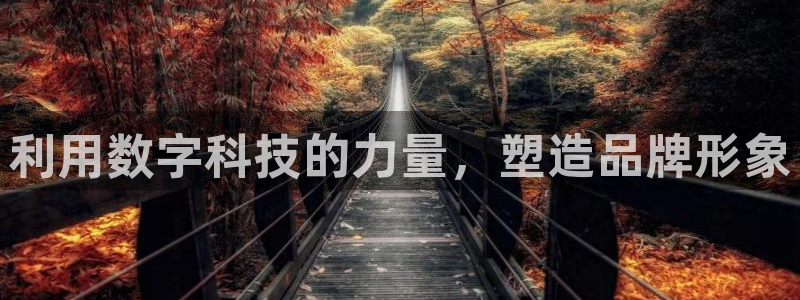 金年会金字招牌信誉至上是黑平台吗