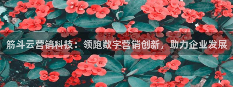 金年会网址导航