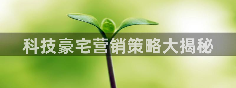 金年会网站不给出款怎么办
