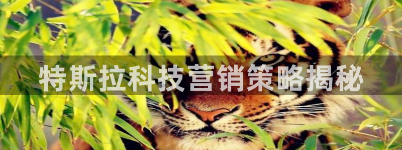 金年会官方在线入口网站下载