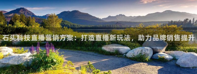 金年会官方登录入口网址