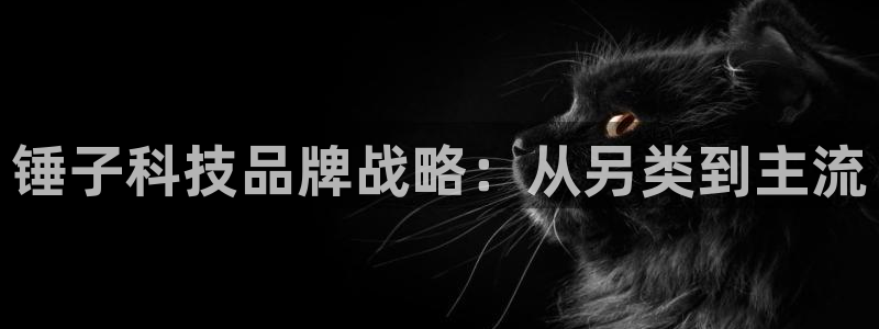 金年会App官方下载