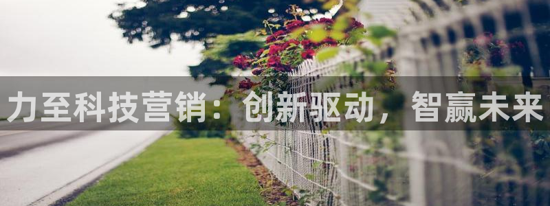 金年会体育app下载官网安卓版