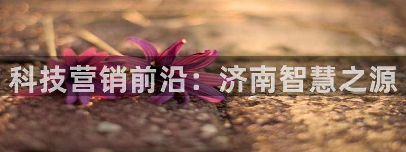 金年会体育app下载官网苹果