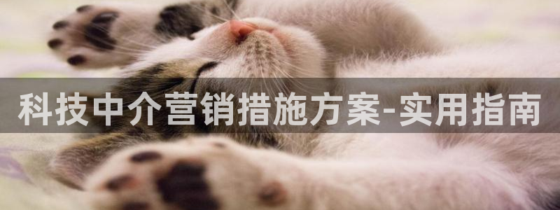 金年会官方在线入口网址