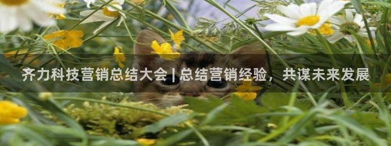 金年会电子游戏app官方