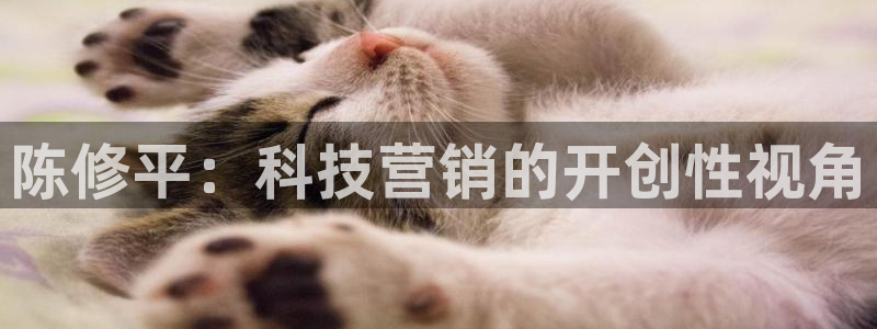 金年会体育如何