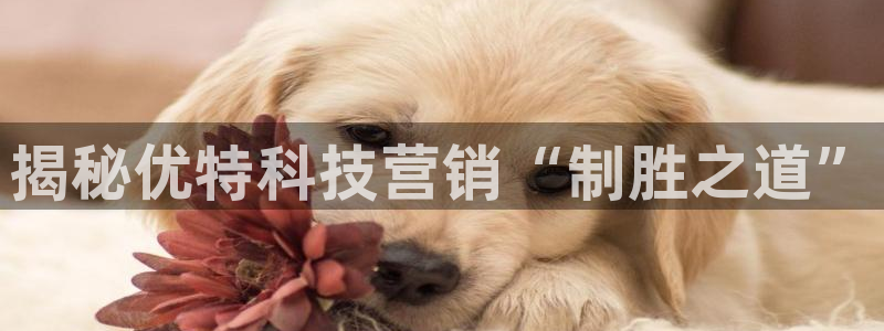 金年会app平台有人玩过吗