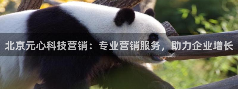 金年会信誉至上是什么意思