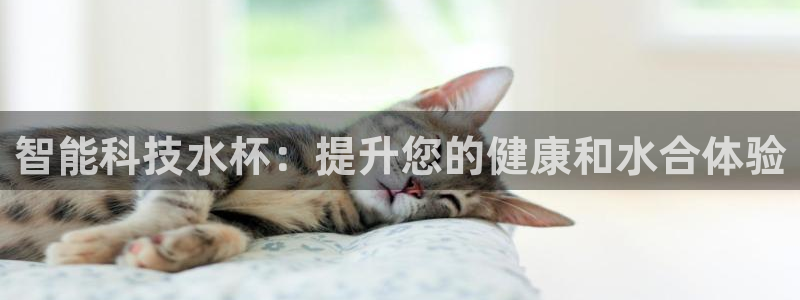 金年会电子游泳app