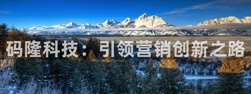 金年会金字招牌至上用了多少钱?