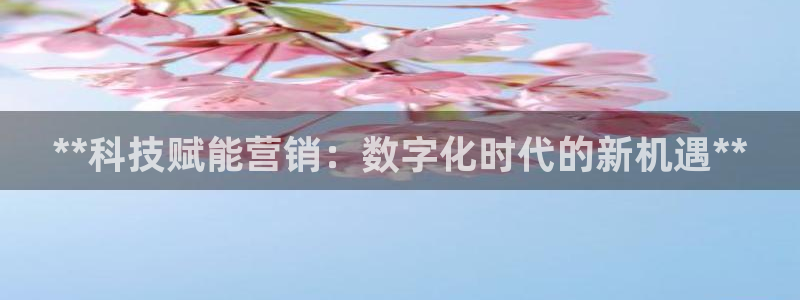 金年会网站稳不稳