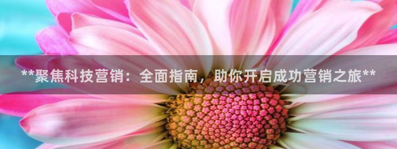 金年会体育论坛官网