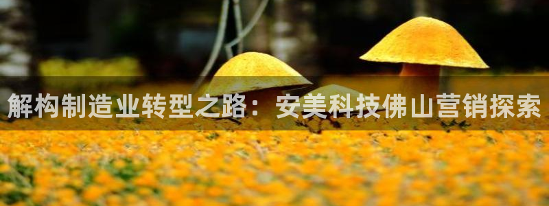 金年会官方网站入口登录手机版
